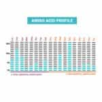 Premium Iso Touch 86% (2Kg) Καθαρή Πρωτεΐνη - GoldTouch Nutrition - Image 3